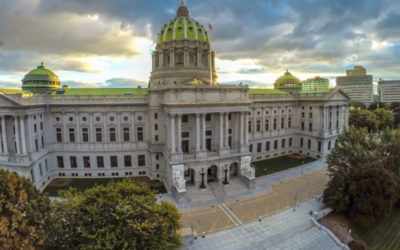 National Veteran Business Development Council - SD/VOB Certification NVBDC Pennsylvania State Manager Named