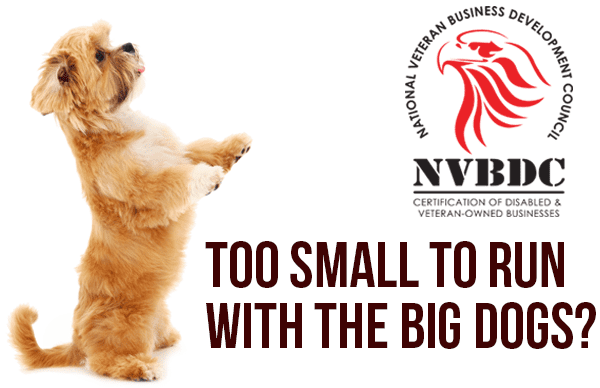 National Veteran Business Development Council - SD/VOB Certification Veteran Certification