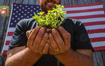 National Veteran Business Development Council - SD/VOB Certification National Veteran Business Development Council (NVBDC) Welcomes Veterans to Farmers to the Military and Veteran Organization (MVO) Task Force