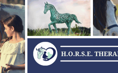 Northeast Florida Equestrian Society/H.O.R.S.E. Therapies Joins NVBDC MVO Task Force to Expand Equine-Assisted Services for Veterans