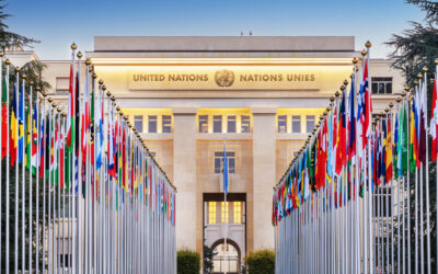 National Veteran Business Development Council - SD/VOB Certification How to Do Business with the United Nations: NVBDC Services Committee Resources Webinar