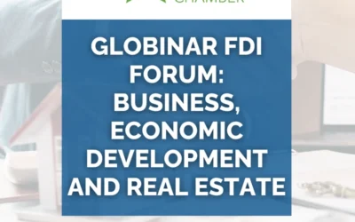 Globinar Global Chamber® FDI/Investment Forum